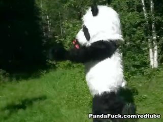 I kuq kalërim kapuç fucked nga panda