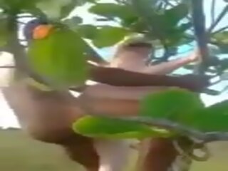 Interracial trío pareja selva árbol diversión