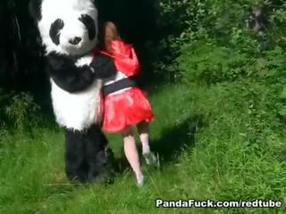 Vermelho a montar capô fodido por panda