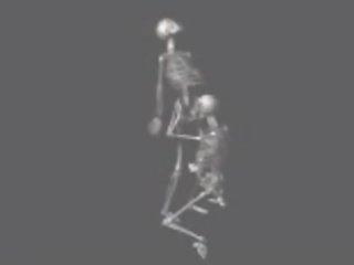 سخيف skeletons