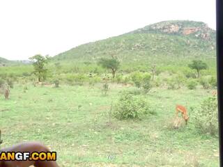 Real footage de meu gira africana senhora a chupar mim fora durante safari romântico getaway