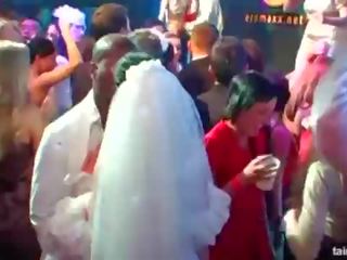 Incredible concupiscent brides suck big cocks in publik