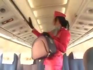 Desirable stewardess sucking manhood before cunnilingus