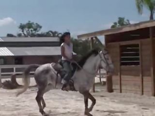 Gaja a partir de tailândia a montar um cavalo
