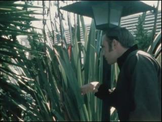 该 裸 花癫者 1970 - mov 满 - mkx, 性别 电影 15