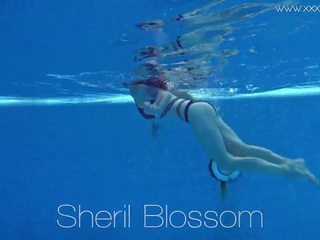 Sheril blossom mükemmel silikon göğüsler vip odası, kaza erişkin film bd