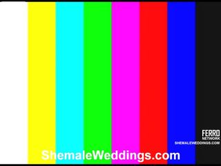 Awesome Shemale Weddings show With Amazing xxx film Stars Carol, Lorena, Milena
