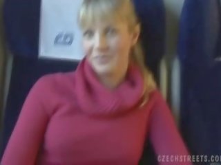 Public fuck on train