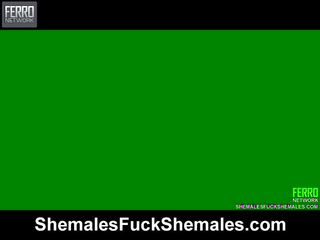 Awesome shemales fuck shemales mov with sange reged clip stars kawana